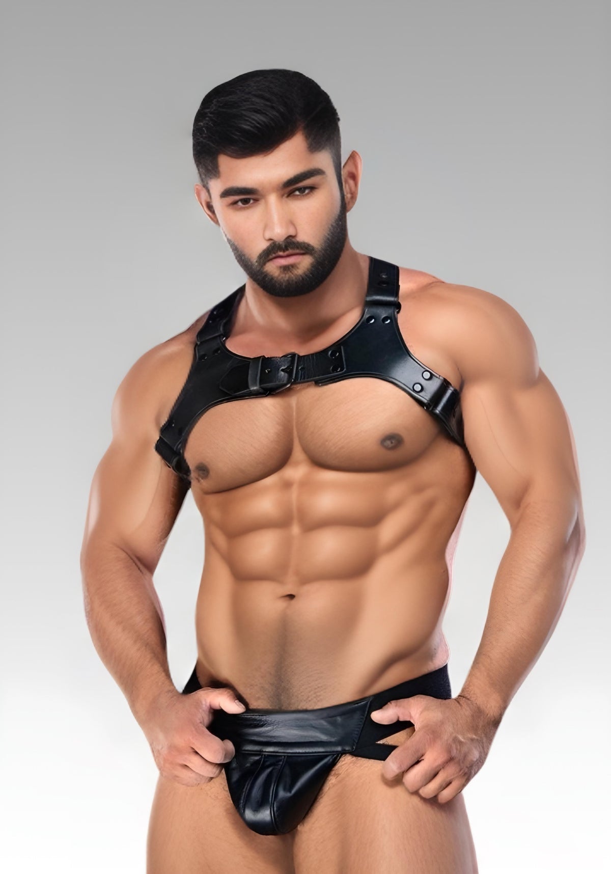 Centurion Leather Chest Harness for sale