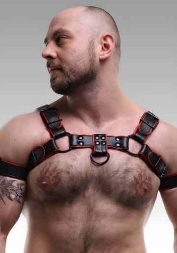 Leather Bulldog Harness with Red Piping for sale